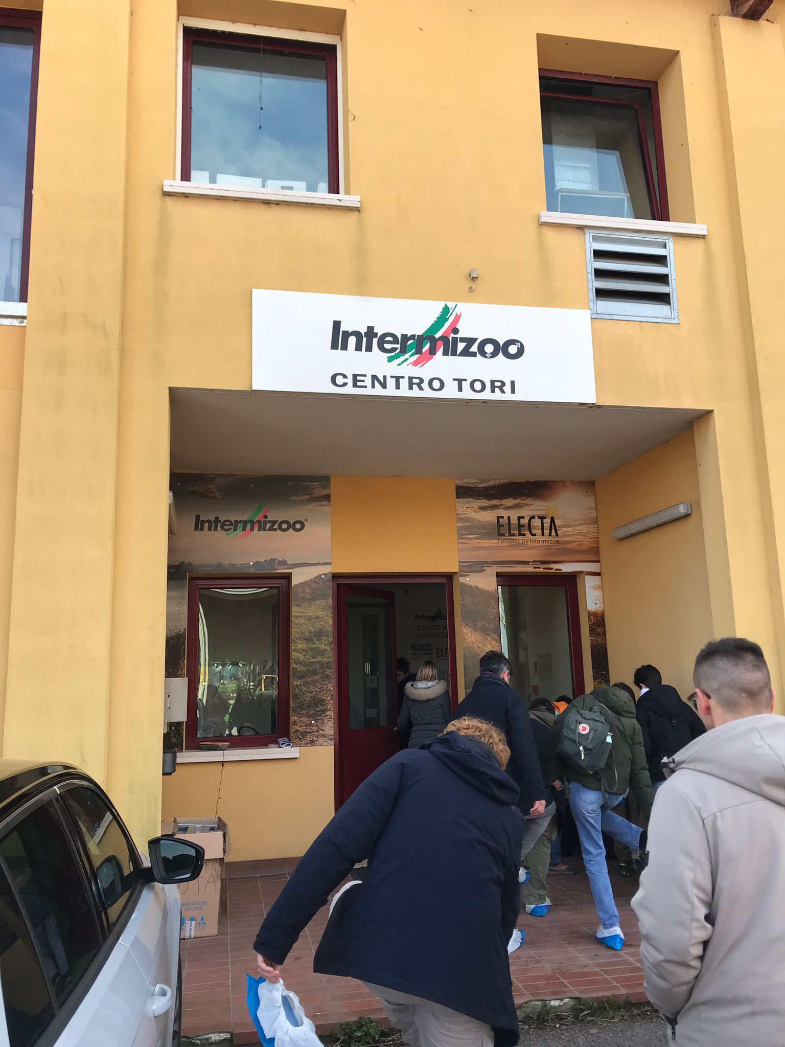 Visita presso centro tori di razza Frisona Italiana di Intermizoo SpA